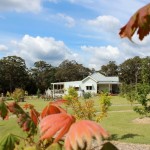 Oatley Cottage 