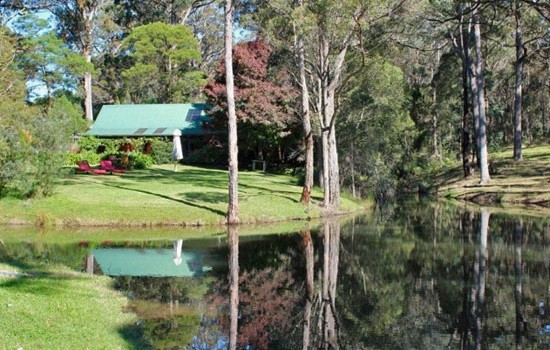 Water Reflections